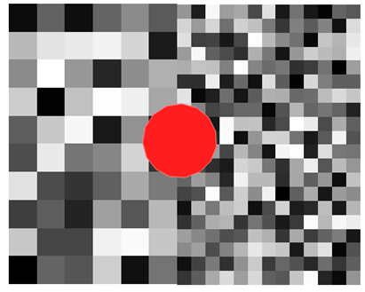 Two random rasters side-by-side and a 20-side polygon