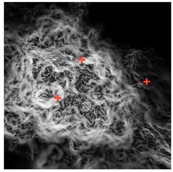 rasters and point layer